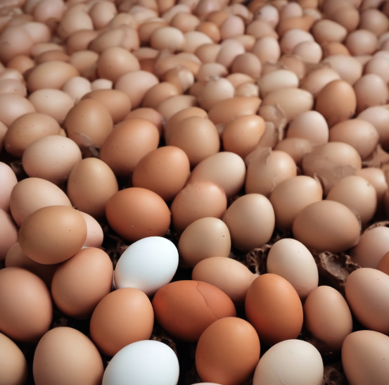 许多不同颜色的鸡蛋 描述已自动生成